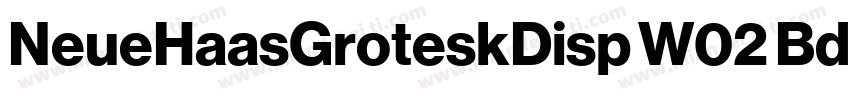NeueHaasGroteskDisp W02 Bd字体转换